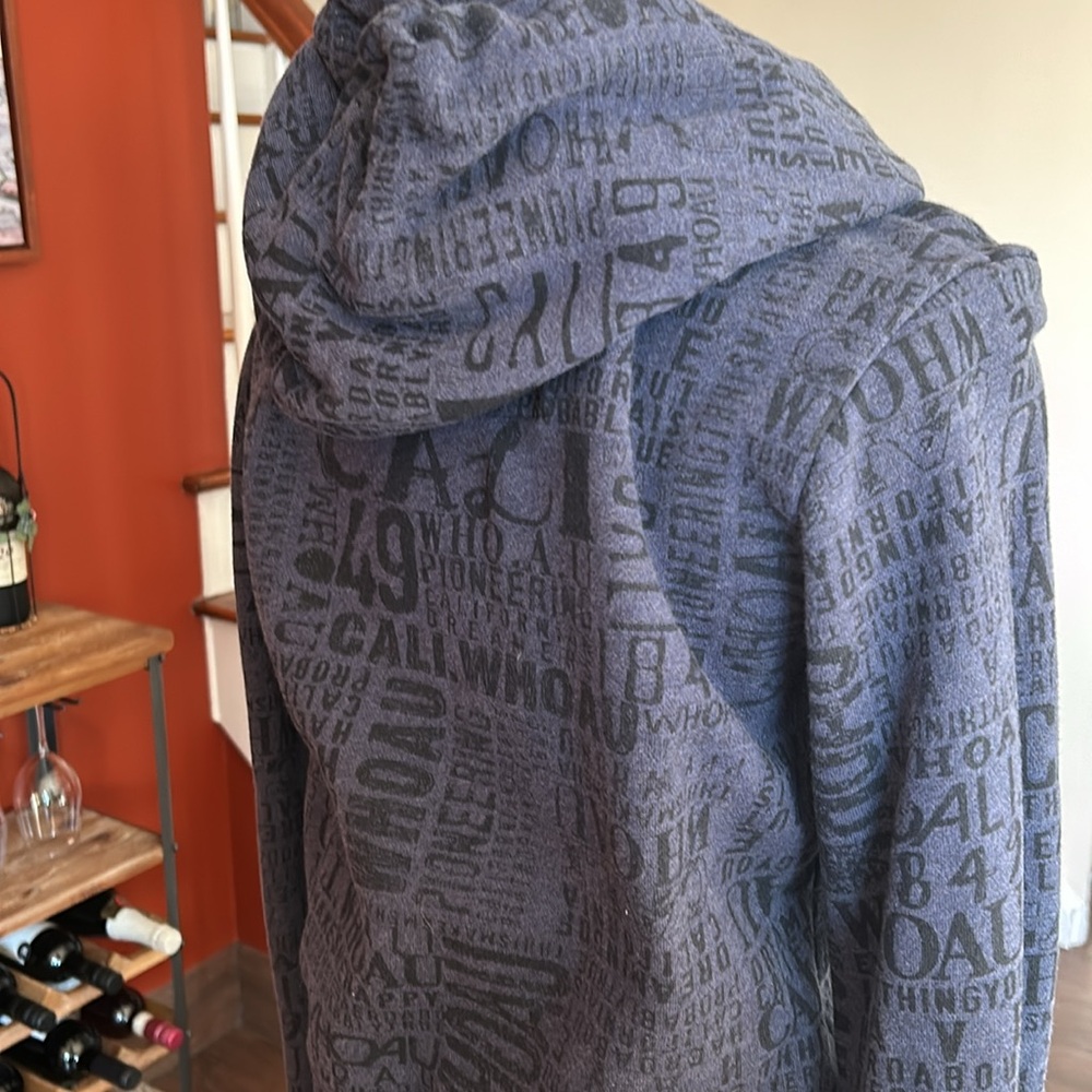 Calvin Klein Blue Graphic Hoodie for Men